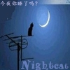 nightcat