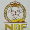 nbf8888888