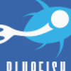 BluefishStudio