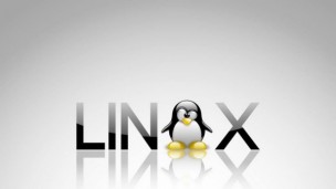 ARM嵌入式Linux