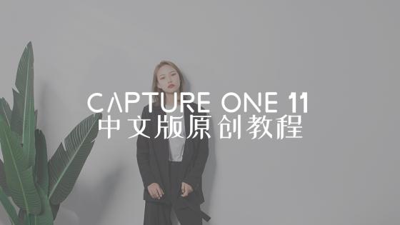 飞思capture one11中文视频课程 captureone 11 软件调色教程