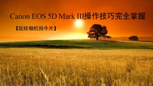 Canon EOS 5D Mark III操作技巧完全掌握