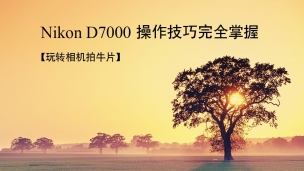 Nikon D7000操作技巧完全掌握