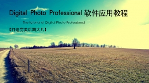 Digital Photo Professional 软件应用教程