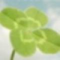 FourLeafClover