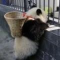 亿万斯年521