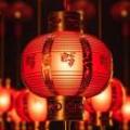 南极仙翁