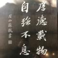 城市迷途小书童